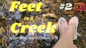 Feet in a Creek: Morning Meditation ASMR JOI Timer #2 SUBTITLES | Relaxing Femdom Foot Worship with Cum Countdown | Flip Flops & Painted Toes Outdoors