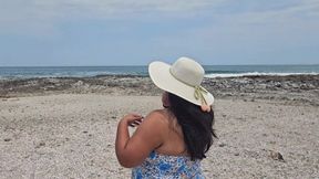 Beach and Cum Swallow