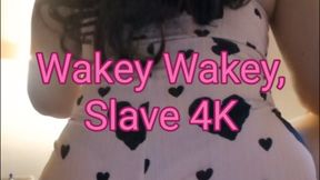 Wakey Wakey, Slave 4K
