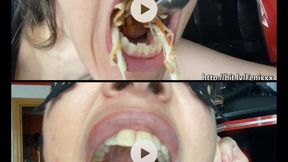 SHAWARMA FETISH FOOD Fenix10-