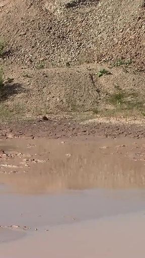 A Great Mud Adventure