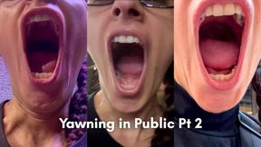 Yawning in Public Pt 2