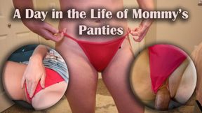 Day As Mommy's Panties