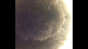 I Ain&rsquo_t No Bald Headed Crusty Lip Bitch Here I Can Put My Hair In A Bun!!
