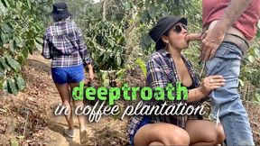 Deeptroath in Coffee Plantation