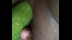 Fucking aparana bhabhi pussy with cucumber