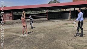 STABLE BULL WHIPPING in SPAIN - 05 - The Finale