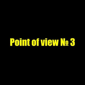 Point of view 3