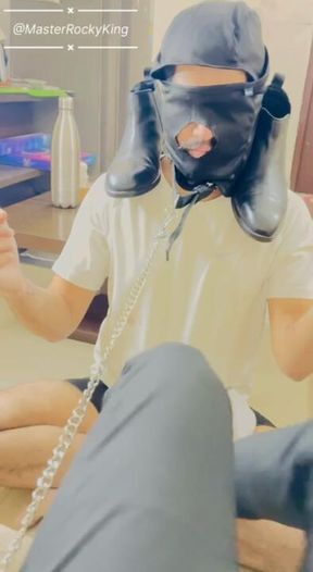 As he struggled to keep my boots on his shoulders, got punished by my Godly Feet 🦶

#findom #paypig #maledom #alphmaster