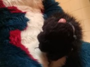 Short Fursuit Jackoff