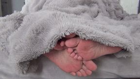 Male and female legs flirt under the blanket aa