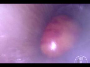 POV of the Apple Entering Her Ass