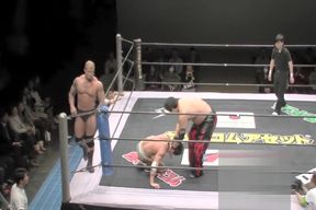 Japan Domination Wrestling