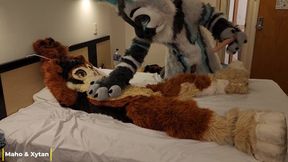 Married wife gets played with by her kinky husband in a fur suit