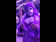 Frisky kitty