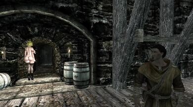 The Succubus Gobbles His Cock Rough And Hardcore While Exploring Skyrim