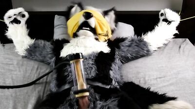 Wolfang and the Milking Machine (Part 2)