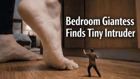 Bedroom Giantess Finds Tiny Intruder – Slow Barefoot Crush POV Ending