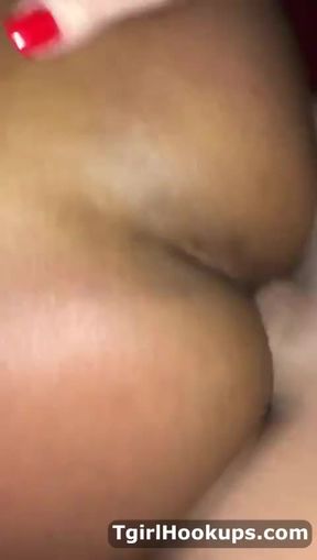 shemale newbie rod 152