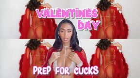 Valentines Day Prep For Cucks - JOI