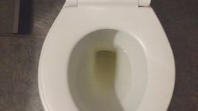 I PISS GOLD IN MY TOILET =)