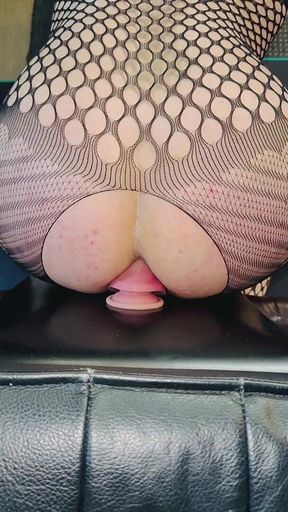 Anal Toy