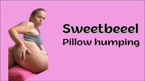 I couldn't hold back any longer... I fucked the pillow until I was shaking.