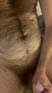 Thick Hairy Cumshot Out Of A BWC