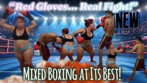 CATA “Red Gloves Showdown – Intense Mixed Boxing Battle. mp4