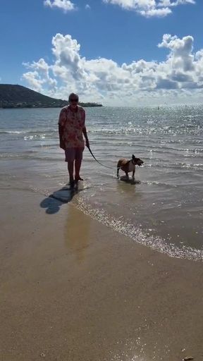 Paiko Fishpond, East Oahu, Hawaii   Clip 2