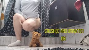 I crushed and peed on my teddy bear