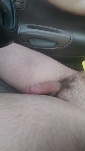 Soft to hard cock bouncing around on the drive