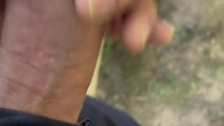 Man seeking cock in the woods