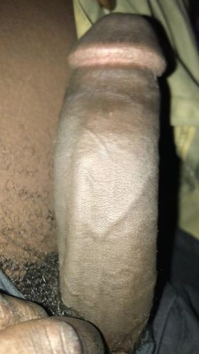 I need a mature cat right now....