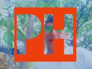 Curiosidades que te apuesto no conocías. Break hub en Puerto Vallarta