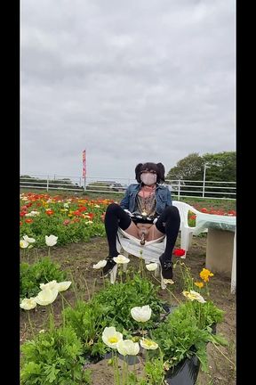 No. 195 Exposing My Pussy in a Flower Field