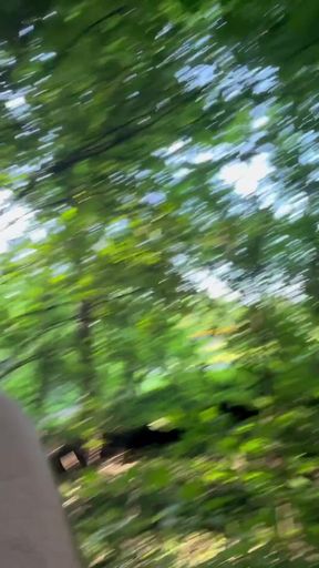 Jaw-dropping moment from &quot;Missy cross dresser sissy in public strip into and out of panties in the woods. Large dick&quot;
