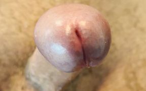 I Show You My Very Hard Cock. Do You Want to Fuck Me?