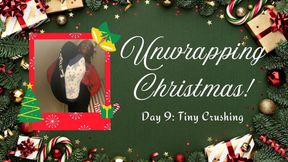 Unwrapping Christmas Day 9: Tiny Crushing