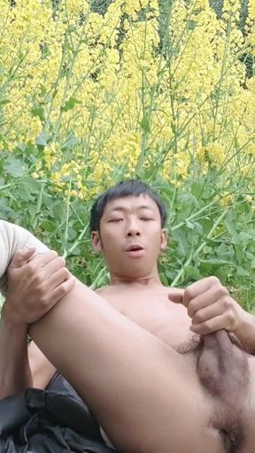 Super Asian boy masturbates, moaning, ejaculating, and swallowing fluids by a golden field   Clip 1