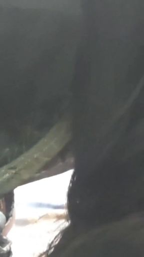 Memorable moment from &quot;Indian mallu stepmom sucking stepson&amp;#039;s cock&quot;