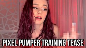 Pixel Pumper Training Tease
