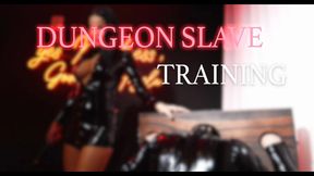 Dungeon Slave Training 💦