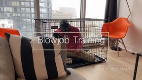 Blowjob Training