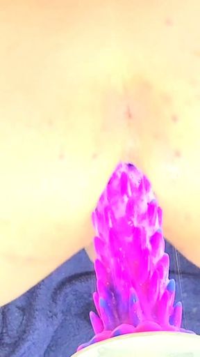 Sloppy and loud first ride on a new spiked dildo!   Clip 1