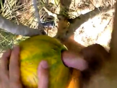 outdoor fun with melon