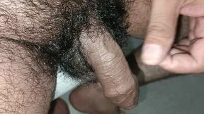 Lambe Ghane Kale Bal Wala Penis