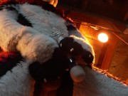 Husky Fursuiter Suspension Jerkoff