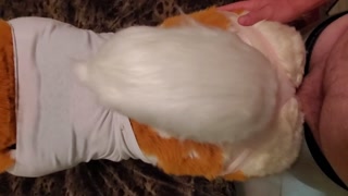 Deer gets Nailed