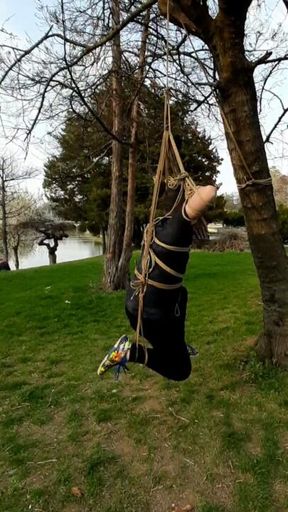 suspended by strings in the park